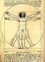 "A Regra das Proporções", Gallerie dell'Academia, Veneza - Leonardo da Vinci