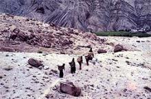 Ladak, 1980. Foto: CP