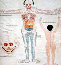 Anatomia Tibetana